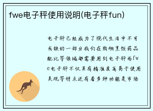 fwe电子秤使用说明(电子秤fun)